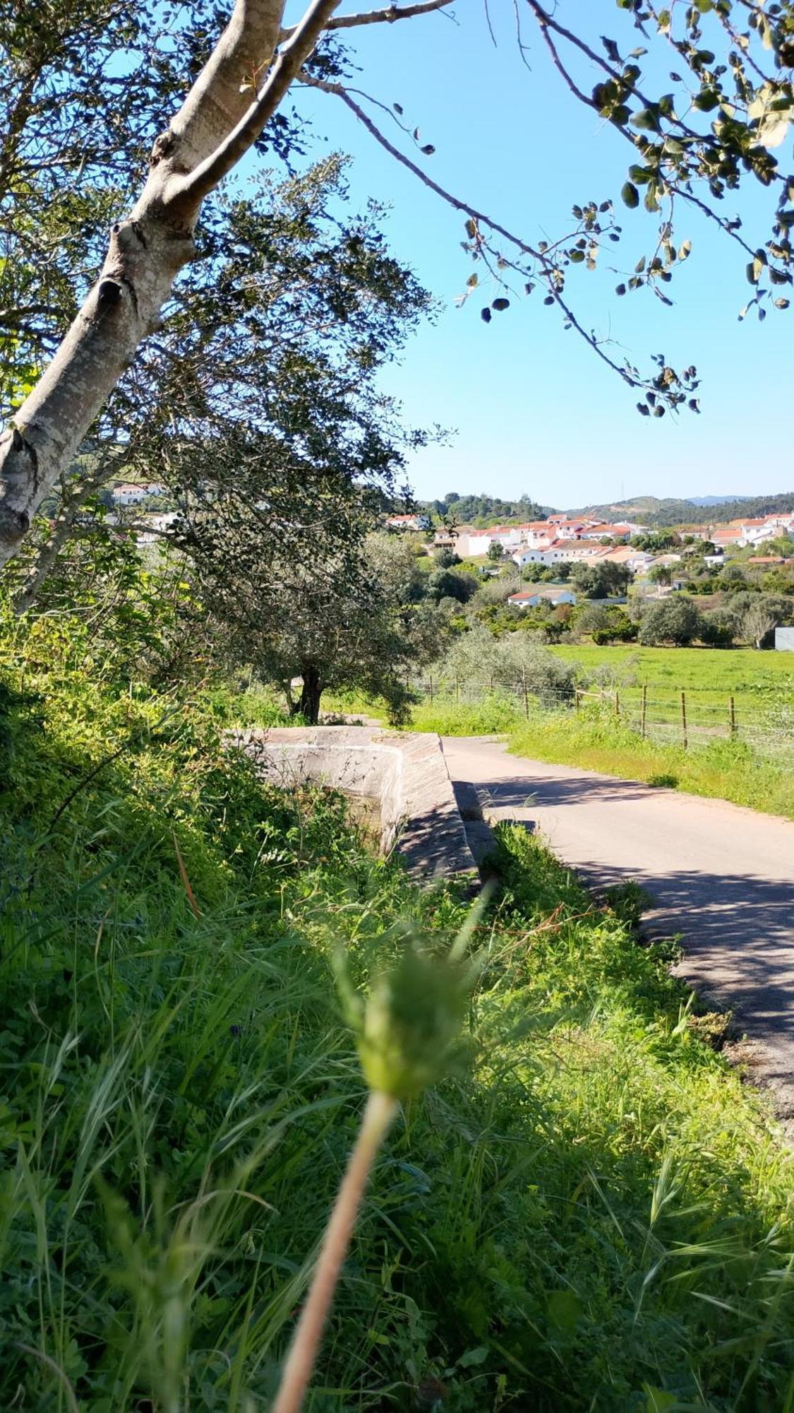 Paraiso Da Aldeia São Bartolomeu de Messines Kültér fotó